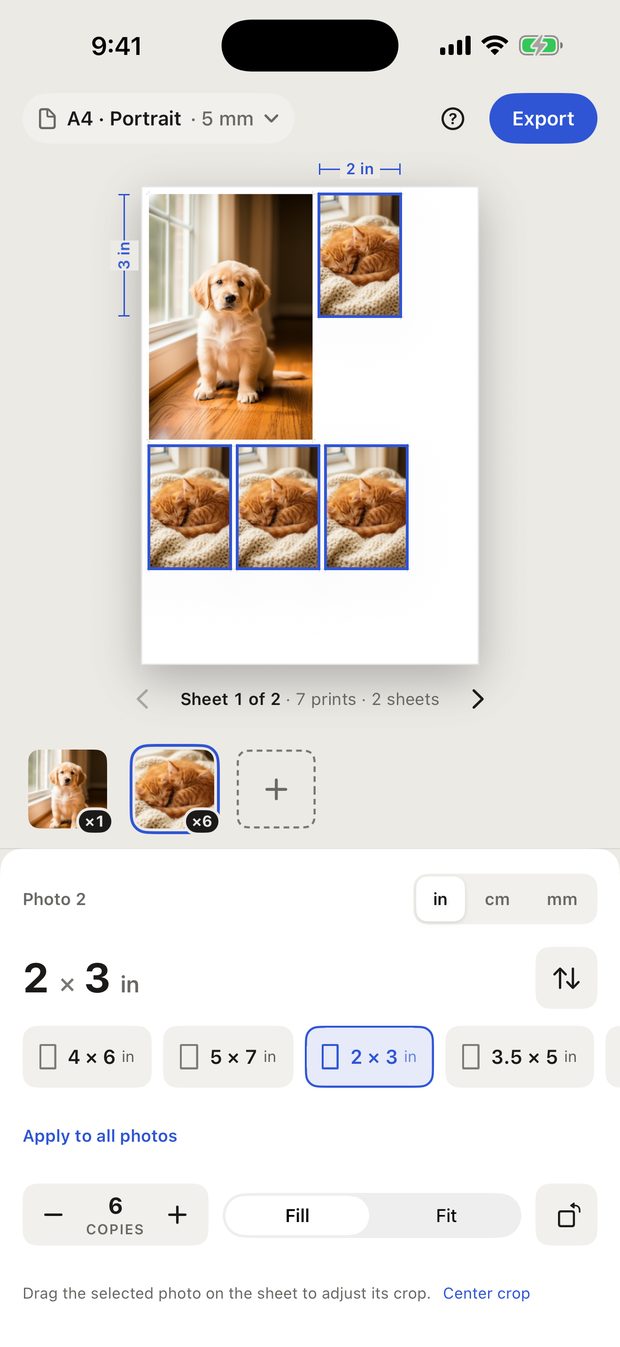 One 4 by 6 print and six 2 by 3 prints arranged on one sheet